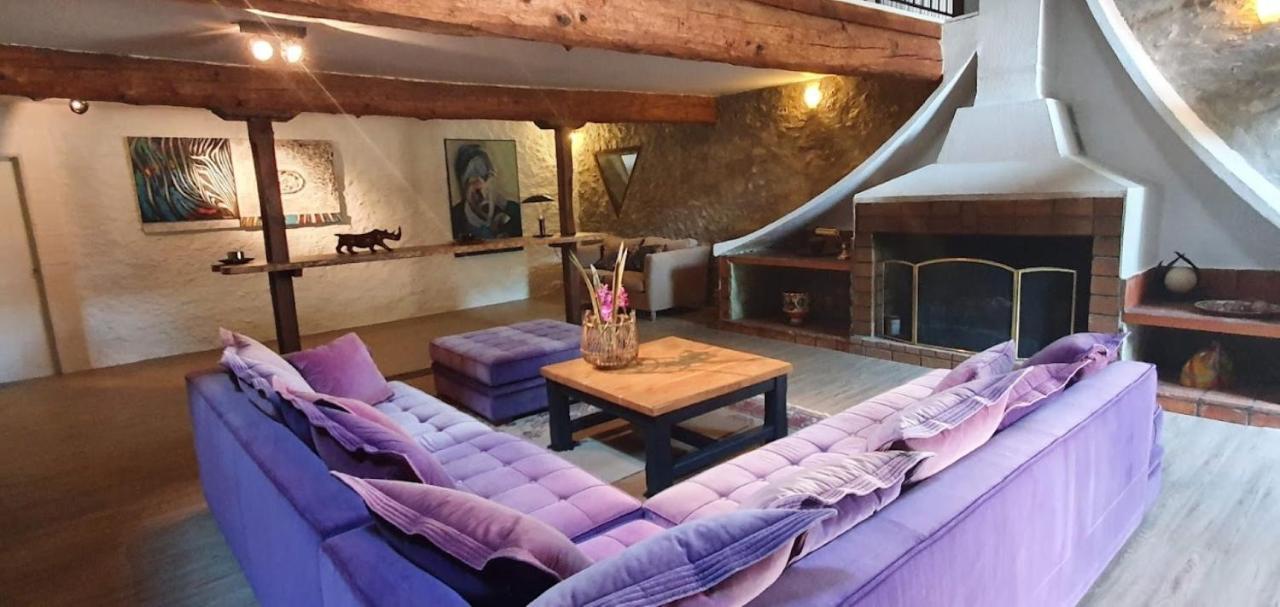 Gite De 420 Metres Carres Dans Chateau L'Ange Au Violon Jusqu'A 13 Couchages Conques-sur-Orbiel Ngoại thất bức ảnh