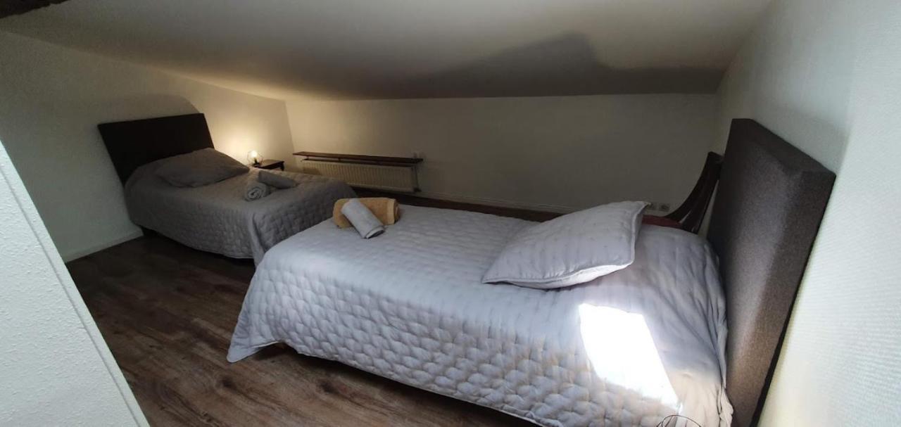 Gite De 420 Metres Carres Dans Chateau L'Ange Au Violon Jusqu'A 13 Couchages Conques-sur-Orbiel Ngoại thất bức ảnh